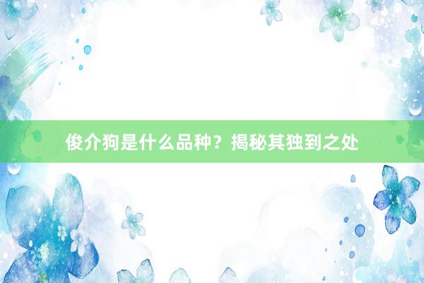 俊介狗是什么品种？揭秘其独到之处