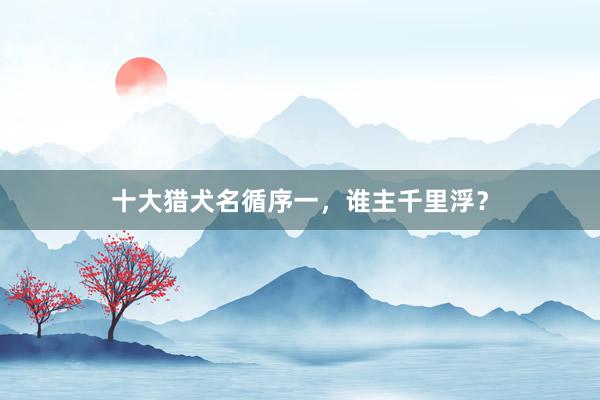十大猎犬名循序一，谁主千里浮？