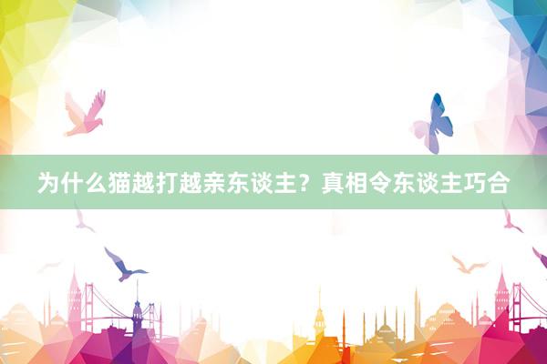为什么猫越打越亲东谈主?真相令东谈主巧合