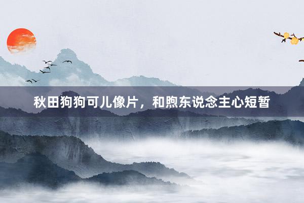 秋田狗狗可儿像片,和煦东说念主心短暂